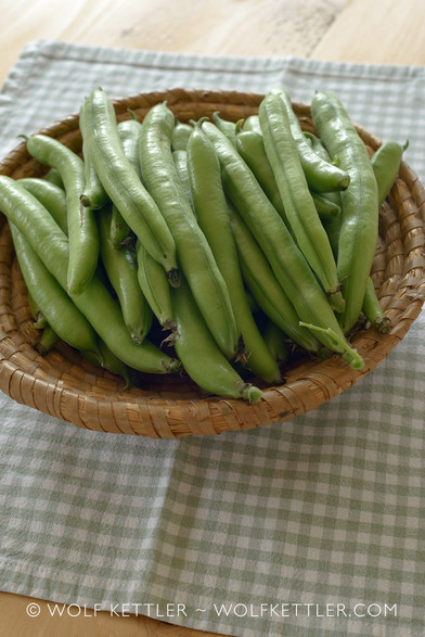 This portrait format photograph shows a round, woven basket filled with broad beans in their pods. The basket sits on a green and white checked fabric placemat.