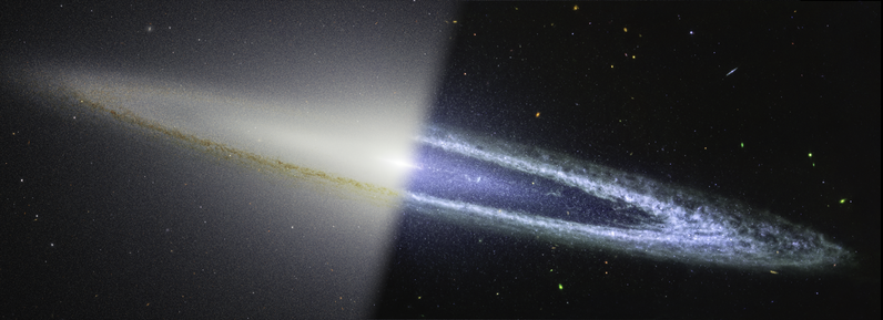 La galassia Sombrero è divisa in diagonale in questa immagine: le osservazioni nel vicino infrarosso del James Webb Space Telescope della NASA sono a sinistra, mentre le osservazioni nel medio infrarosso di Webb sono a destra. L'immagine nel vicino infrarosso mostra dove la polvere dell'anello esterno blocca la luce stellare dalle porzioni interne della galassia. L'immagine nel medio infrarosso mostra invece la polvere che brilla.La potente risoluzione della NIRCam di Webb ci permette anche di individuare singole stelle al di fuori della galassia, ma non necessariamente alla stessa distanza, alcune delle quali appaiono rosse. Si tratta delle cosiddette giganti rosse, che sono stelle più fredde, ma la loro grande superficie le fa brillare intensamente in questa immagine. Queste giganti rosse vengono rilevate anche nel medio infrarosso, mentre le stelle più piccole e blu nel vicino infrarosso “scompaiono” nelle lunghezze d'onda maggiori.