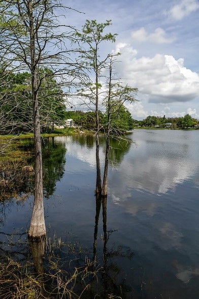 Discover the serene beauty of Crest Lake Park in Clearwater, Florida, where tranquil waters reflect the surrounding natural landscape.