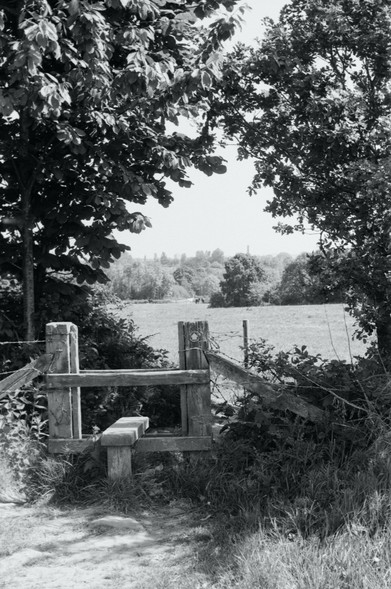 Stile. It looks nice and low on this side, but it drops another foot or two on the other side.