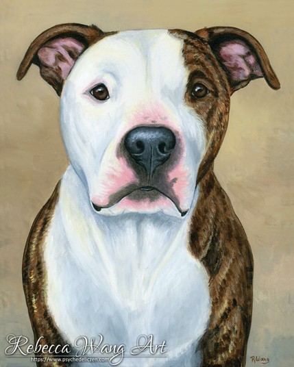 A pet portrait painting of a brindle and white American bulldog