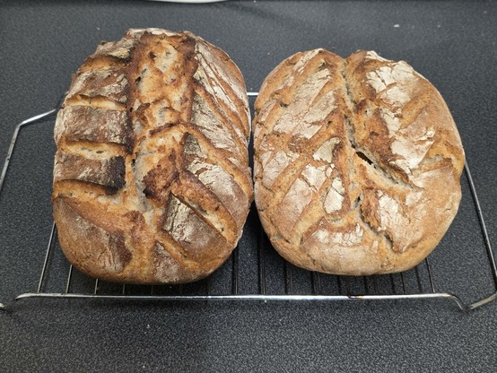 The image shows two loaves of artisanal bread placed on a metal cooling rack. The loaves are oval-shaped with a rustic appearance, featuring a golden-brown crust with a dusting of flour. The surface of the bread has a pattern of scored lines, which have opened up during baking, creating a decorative and functional design. The crust appears crispy and well-baked, with some areas darker than others, indicating a high-temperature bake. The loaves are positioned side by side on the rack, which is placed on a dark countertop. The background is plain, focusing attention on the bread.

Provided by @altbot, generated privately and locally using Ovis2-8B

🌱 Energy used: 0.153 Wh