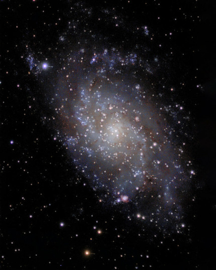 A detailed view of the Triangulum Galaxy (M33), a spiral galaxy located about 2.7 million light-years from Earth. The image shows a glowing core with swirling arms filled with stars, dust, and nebulae, scattered across the dark backdrop of space. Photo was taken at Bubulcus & Bolotas using the Seestar50.