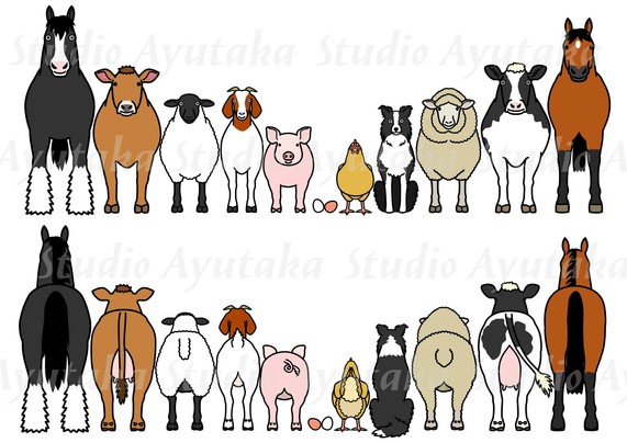a clipart set of farm animals standing in a row, form front and from back.