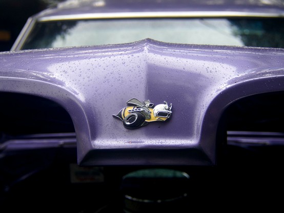 Close-up of a purple car hood with water droplets covering the surface. An emblem featuring a cartoonish bee wearing a helmet is prominently displayed on the hood. The windshield appears in the background.