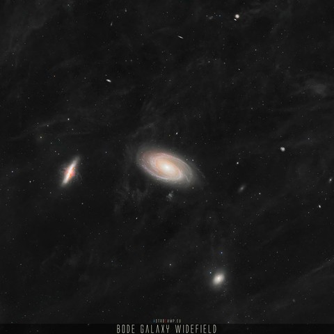 M81
