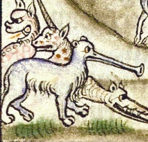 A wonderfully bizarre ‘elephant done by a medieval artist that had never seen one’