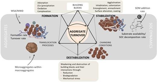 Figure 2 in De Goede et al. (2025): "Conceptual model of the continuum of soil aggregation, with underlying mechanisms within the processes deposition/formation, stabilization, and destabilization related to Fig. 1."