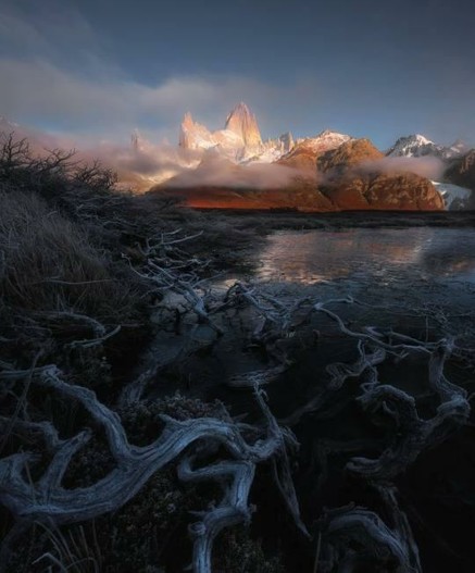 Patagonia's ragged peaks wrapped in clouds at sunrise with silvery grey dead branches in the foreground.