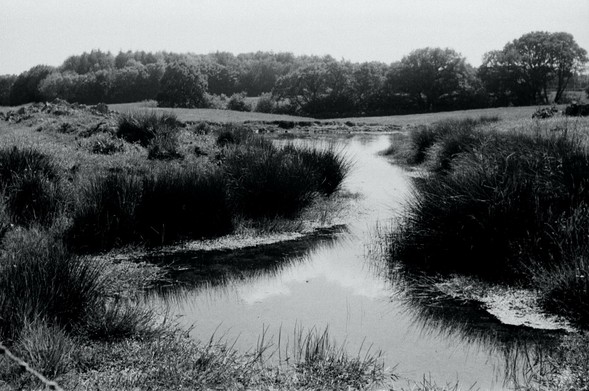 Pond at the top of the hill