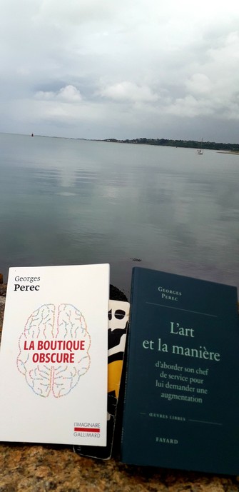 Deux couv's de livres de Georges Perec au bord de la mer en Bretagne. 
"La boutique obscure" aux éditions L'imaginaire Gallimard. 
"L'art et la manière d'aborder son chef de service pour lui demander une augmentation". Éditions Fayard.