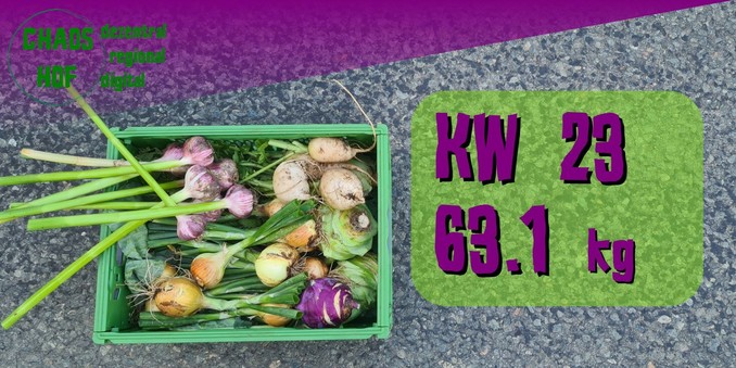 Gemüse box von oben mit den sumierten ernteergebnissen in kw 23 sind wir jetzt bei 63 kg