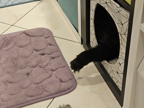 Black long-haired cat "Hope" lying in a white cat cave with black lines, only her paw that she stretches out of the cave is clearly visible.