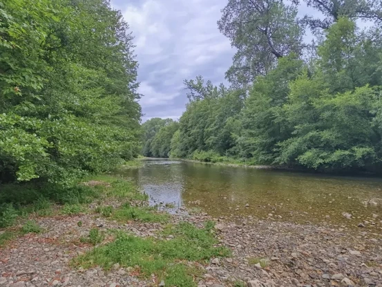 Vue d’un petit fleuve peu profond bordé de galets et de végétation, entourée dont beaucoup d'arbres. Le ciel est très nuageux.