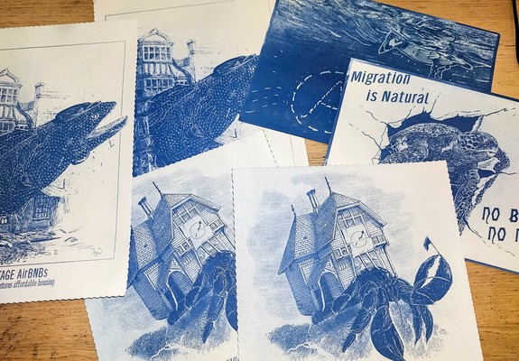 Cyanotype prints featuring an anti Airbnb moray eel, a pro squat hermit crab, a no border sea turtle and an anarchist puffin.