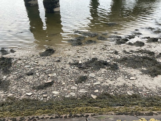 Close up view of the Tay Firth at low tide with seaweed and debris exposed on the sandbank between the flood wall and rail bridge
