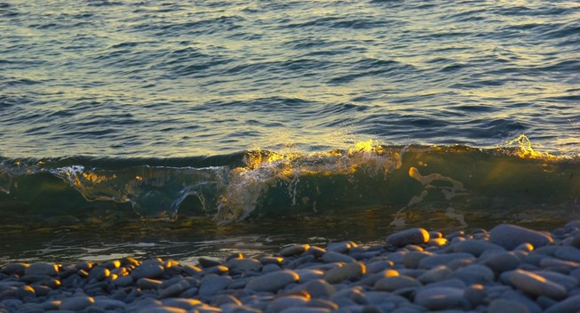 Une vague formant un petit rouleau se brisant sur une plage de galets. Les rayons du soleil rasant passent à travers la vague et lui donnent une teinte dorée.