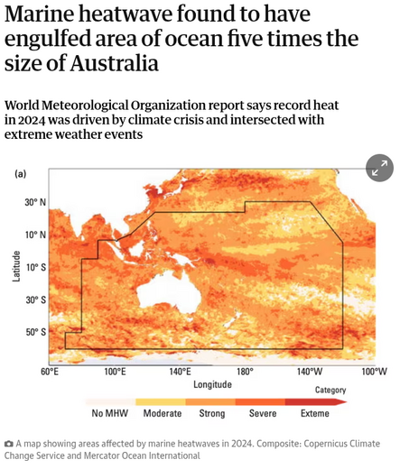 A headline reading 'Marine heatwave found to have engulfed area of ocean five time the size of Australia', with an image of a map showing part of the extent of the heat event