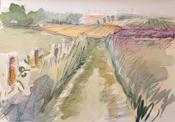 Aquarellskizze: ein grüner Feldweg zwischen Feldern und Wiesen führt gerade Richtung Horizont