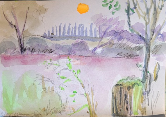 Aquarellskizze: Blick über eine rosa Wiese,  im Hintergrund Bäume und eine kleine orange Sonne über einer Reihe Pappeln in der Ferne