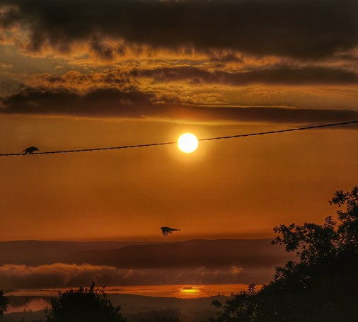 Birds meeting up to watch the sunrise over Loch Cullen