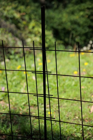 A close-up of a rusty metal fence against a blurred green background with scattered yellow flowers, showcasing vertical bars and connectors.