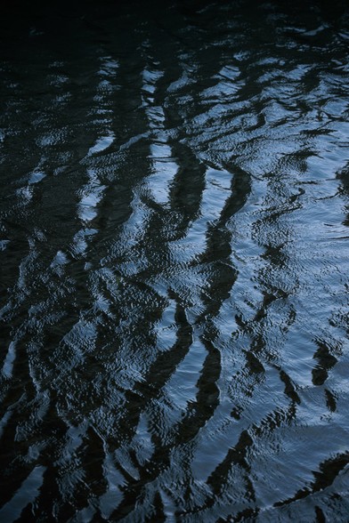 Rippling dark blue water creates a textured surface, reflecting light in wavy patterns against a deep, moody background.