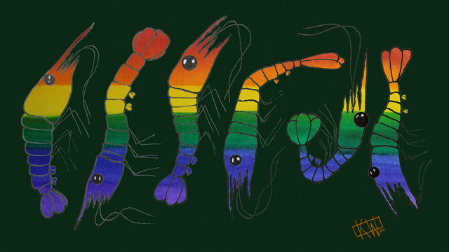 6 ink & watercolor shrimp decked out in their rainbow best for Pride Month, having a wonderful day!