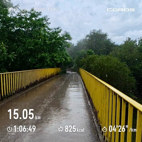 Regen!