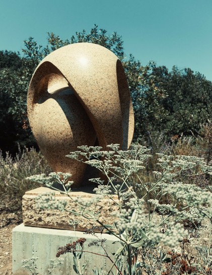 Stylized photo of a rounded sculpture behind flat-topped plants.