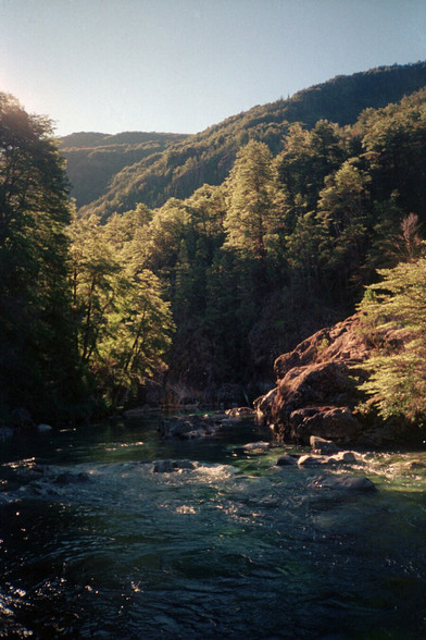 River and forest.