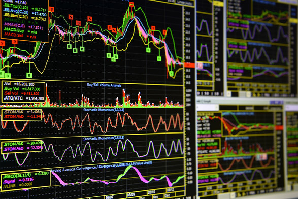 Facts to Know Before Betting on It