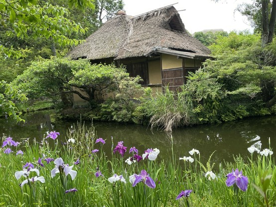 Teahouse and irises