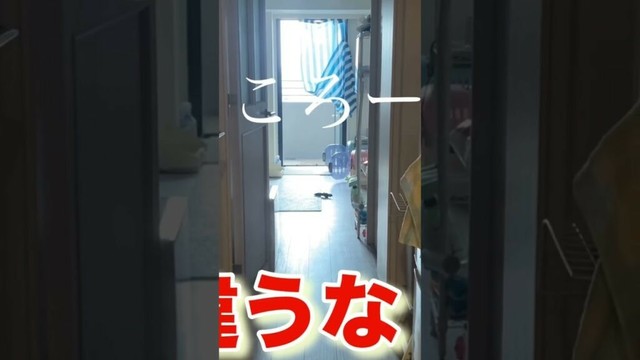 わざと犬の名前間違えて呼んだら！