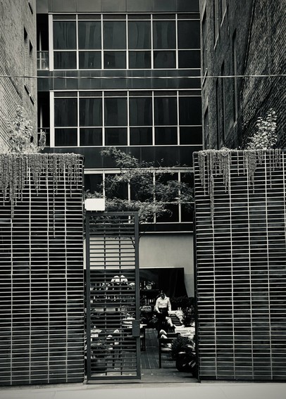 Two high panels partially obscure a deep view into a restaurant patio between tall buildings. Tables and a server are in the gap between the panels and a large gate also partially bridges the gap. The courtyard is surrounded by brick buildings and windows. Plants line the top of the panels, which have a strong rectangular geometric pattern. Black and white photo to emphasise the geometry.