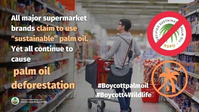 How do you boycott the endless #greed of large food companies causing massive #extinction 🦏🐅 🐒 and human #health damage? Go #palmoilfree and boycott Colgate, #Unilever, #Pepsi, Ferrero and others. Fight back and #Boycottpalmoil #Boycott4Wildlife 🌴🔥⛔ @palmoildetect.bsky.social https://wp.me/pcFhgU-EV?utm_source=mastodon&utm_medium=Palm+Oil+Detectives&utm_campaign=publer