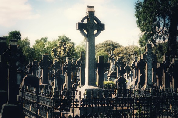 A wide shot of a historic cemetery with numerous dark, weathered Celtic crosses and gravestones under a bright, slightly hazy sky. In the foreground, a black wrought-iron fence partially encloses some of the graves. Lush green trees are visible in the background, contrasting with the stone. The scene evokes a sense of peace and historical significance.