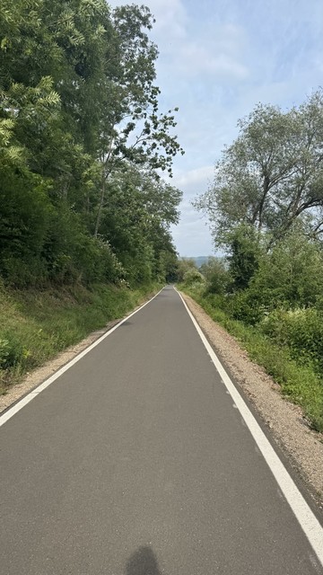 Eine gerade Straße ohne Verkehr und ohne Menschen, die von üppigem Grün und Bäumen unter einem teilweise bewölkten Himmel gesäumt wird.

Der Weg ist rechts und links von neuen Linien begrenzt.