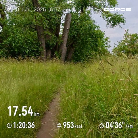 Durch Wiese laufen