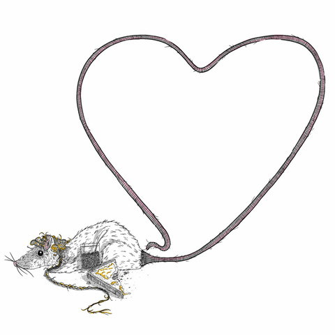 Illustration of a small white rat with a blonde curly mullet and rat tail, holding a small mason jar of beans and sitting beside half-eaten buttered toast as he forms a large heart shape with his pink tail.