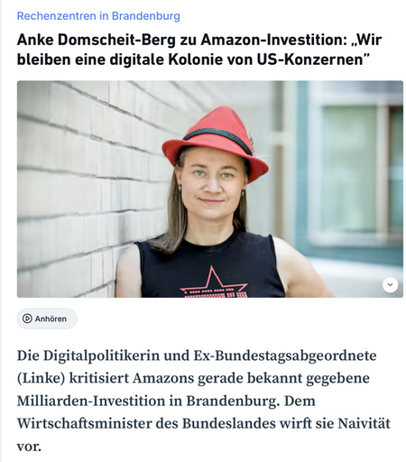 Screenshot des Artikel-Beginns mit Foto von mir mit rotem Hut u noch längeren Haaren (ist paar Jahre alt).