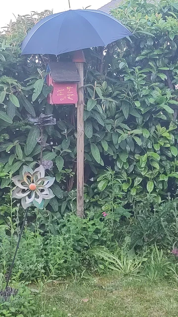 Ein Nistkasten an einem Holzpfahl zwischen Blumen vor einer Gartenhecke. Über dem Nistkasten ist als Sonnenschutz ein Schirm angebracht.