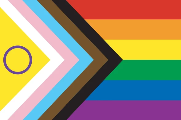 Progress Pride flag, with, from left to right, the rainbow colors bands, red, orange, yellow, green, blue and purple, then in a triangle shape: a black band, a brown band, the pastel blue, pastel pink, and white bands of the trans flag, and the Intersex flag: A yellow background with a purple hollow circle.