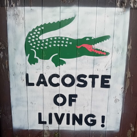 The image shows street art on a weathered wooden surface. The artwork features a stylized green Lacoste crocodile logo, accompanied by text that reads "LACOSTE OF LIVING!" in bold black lettering on a white background. The crocodile's mouth is painted in red.
