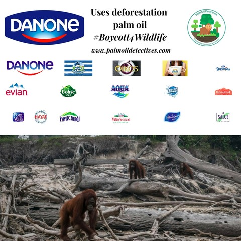 Boycott @Danone's dairy products! 🧈🥛 Their #palmoil is so-called "sustainable" from #RSPO yet it still causes #deforestation 🤮🔥 mass species #extinction ☠️and #ecocide Resist with your wallet! #BoycottPalmOil #Boycott4Wildlife @palmoildetect https://palmoildetectives.com/2021/03/06/danone/?utm_source=mastodon&utm_medium=Palm+Oil+Detectives&utm_campaign=publer