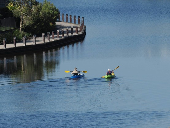 Two kayakers, on the smooth waters of Lake Kawana, rowing away from the photographer with their backs to the camera
