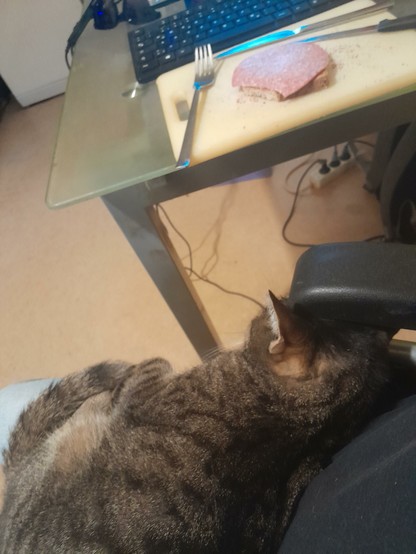 Pussy Galore, a grey tiger tabby, snoozes in my lap as I consume sweet and sour pork sandwiches. 
She was not interested in sampling them.