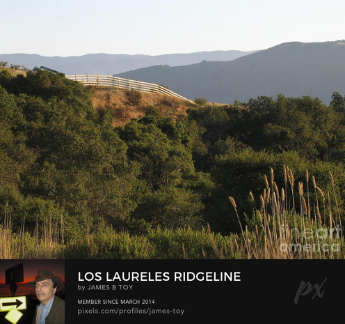 A photograph of the hills above Carmel Valley.