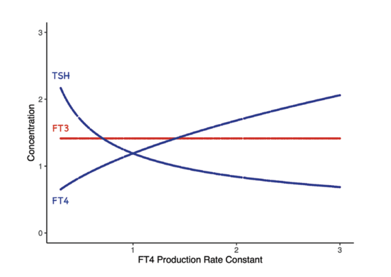 Demonstration of attainment of perfect FT3 homeostasis in hypothalamic–pituitary–thyroid axis regulation in a mathematical model. The interactive loops of the hypothalamic–pituitary–thyroid axis regulation enable the actions of TRH (not shown), TSH, and FT4 to cooperate in a way to produce an equilibrium solution of perfect homeostasis for FT3. This is an example of relational stability. The strengths of all limbs have been normalised.
