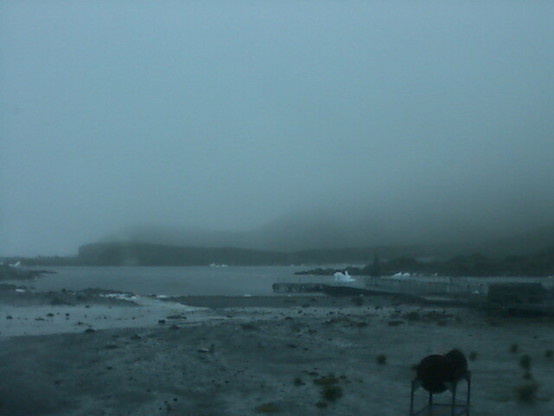 View from the Bird Island research station.